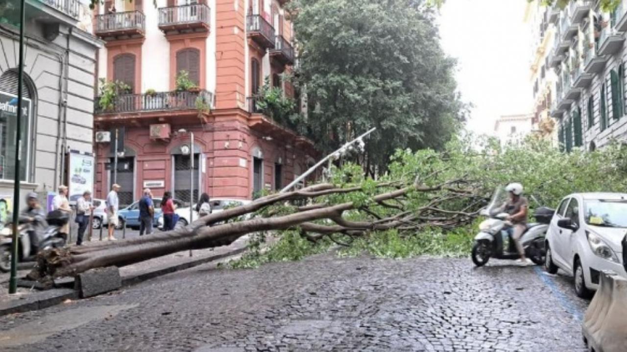 Via Bernini, Vomero