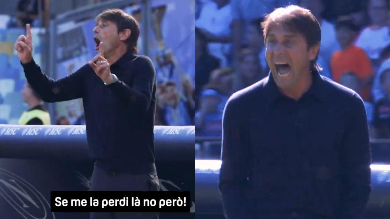 Conte