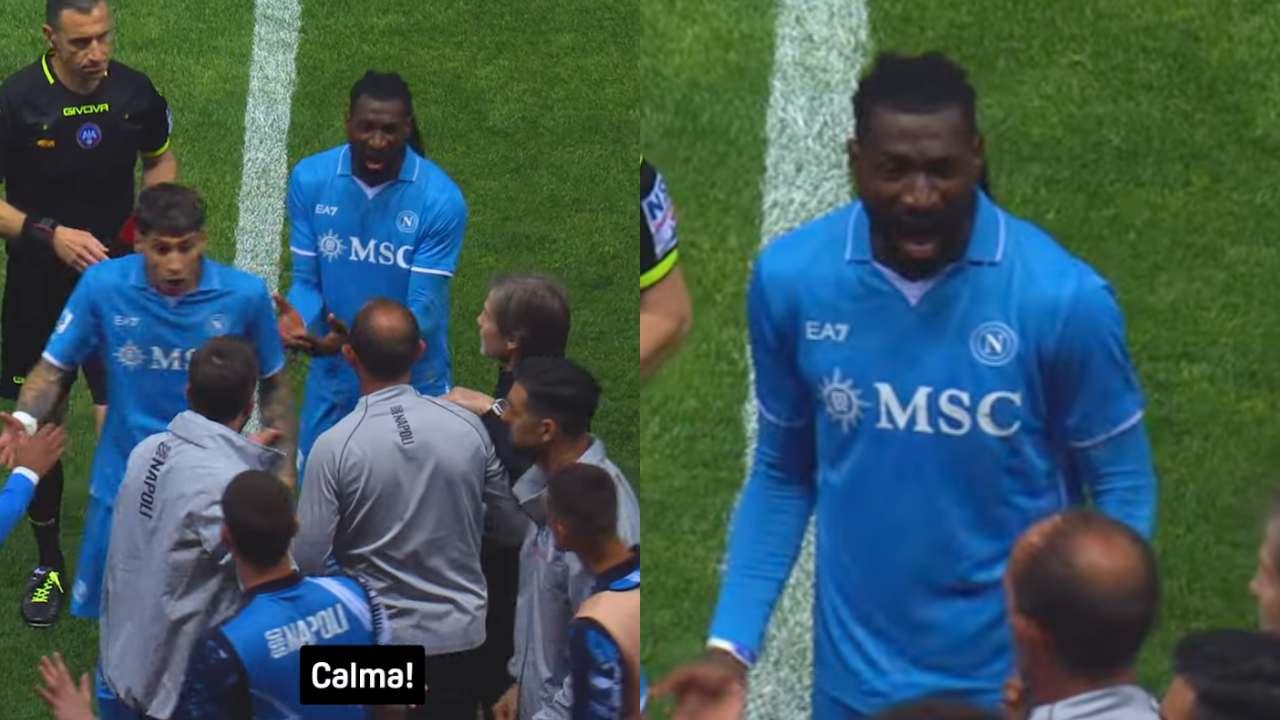 Anguissa