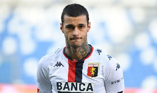 Scamacca