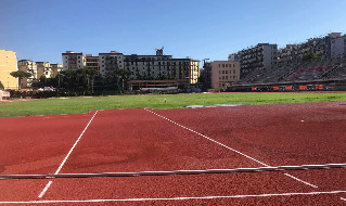 Stadio Collana