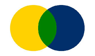 Verdi Verona