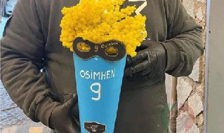 Mimose
