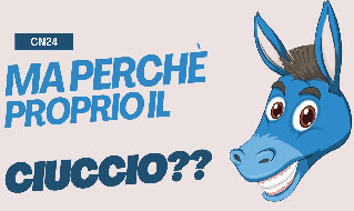 Ciuccio Napoletano
